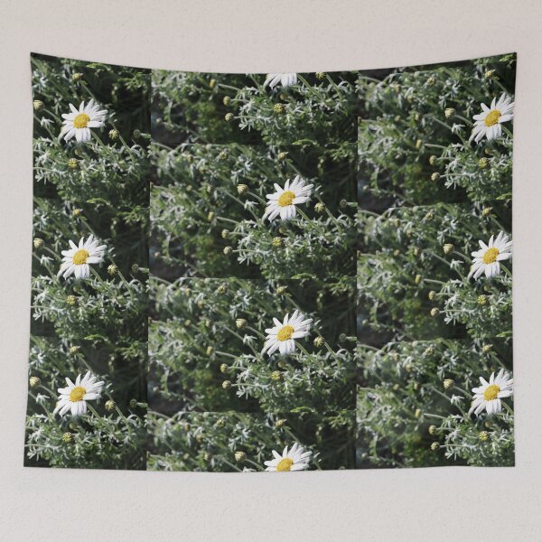 Item preview, Large Daisy designed and sold by pinkal.