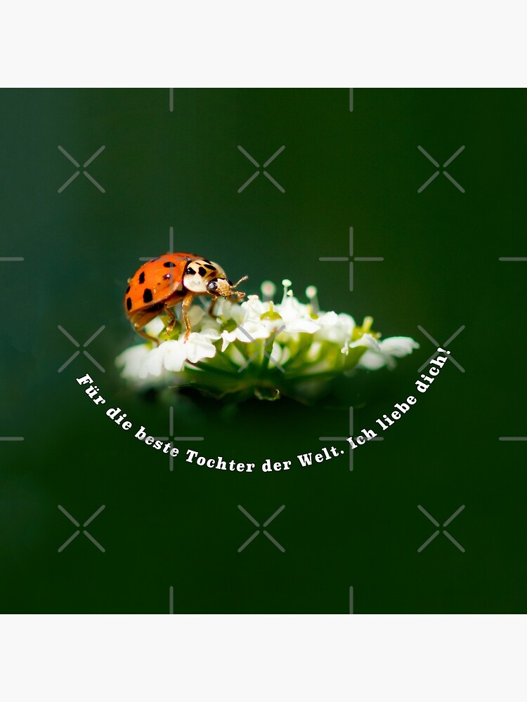 Thumbnail 4 von 4, Kissen, Für die beste Tochter der Welt. Ich liebe dich! designt und verkauft von Igelchen.