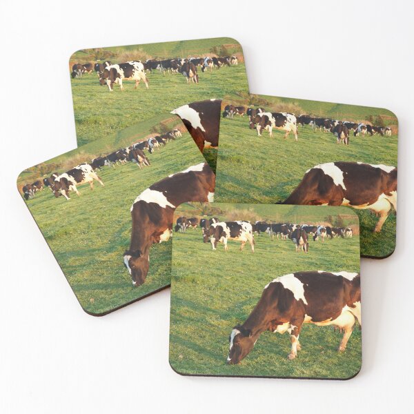 Item preview, Holstein cattle designed and sold by Gaspar Avila.
