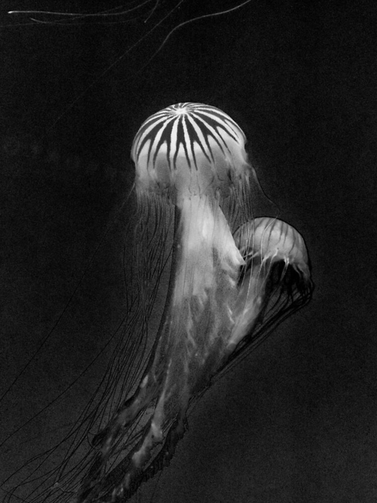 Thumbnail 4 of 4, iPhone Case, Dancing Ghosts designed and sold by MZukoPhoto.