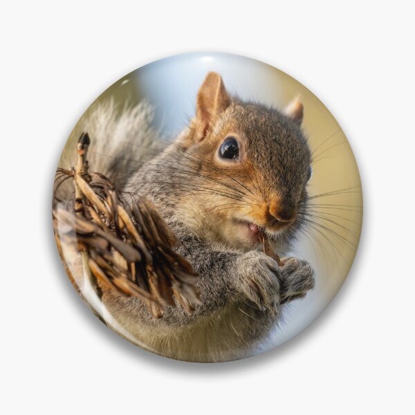 Item preview, Grey Squirrel Eating designed and sold by UKMatt2000.