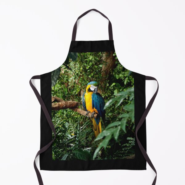 Item preview, Coy Macaw designed and sold by MZukoPhoto.