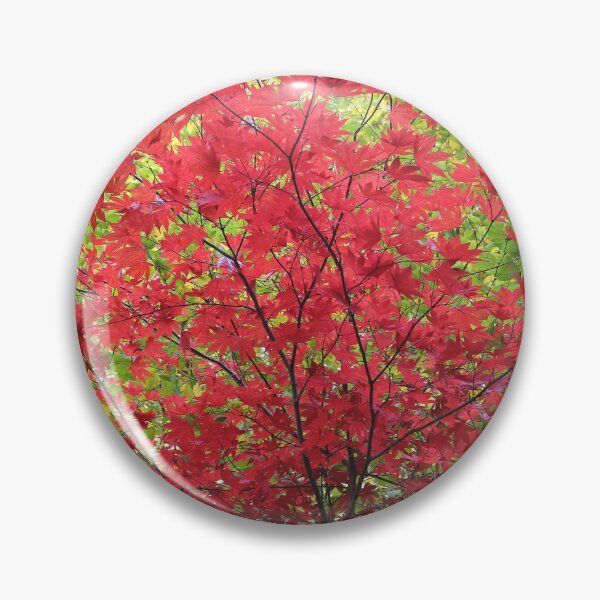 Item preview, Red Japanese Maple Tree designed and sold by pinkal.