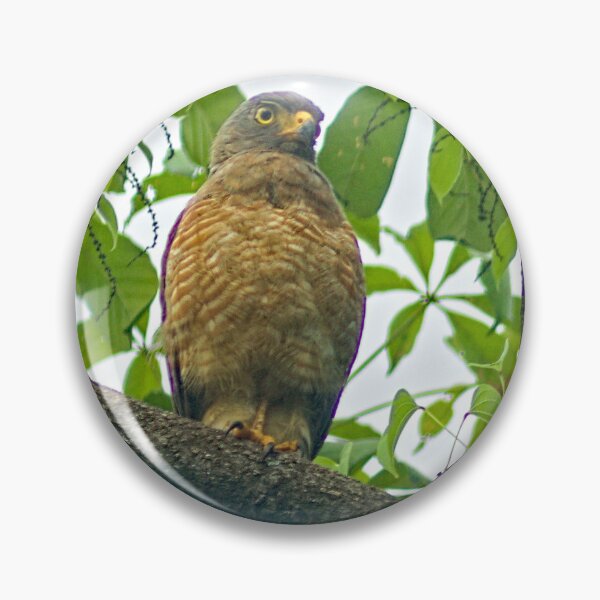 Item preview, dls eagle designed and sold by pcfyi.