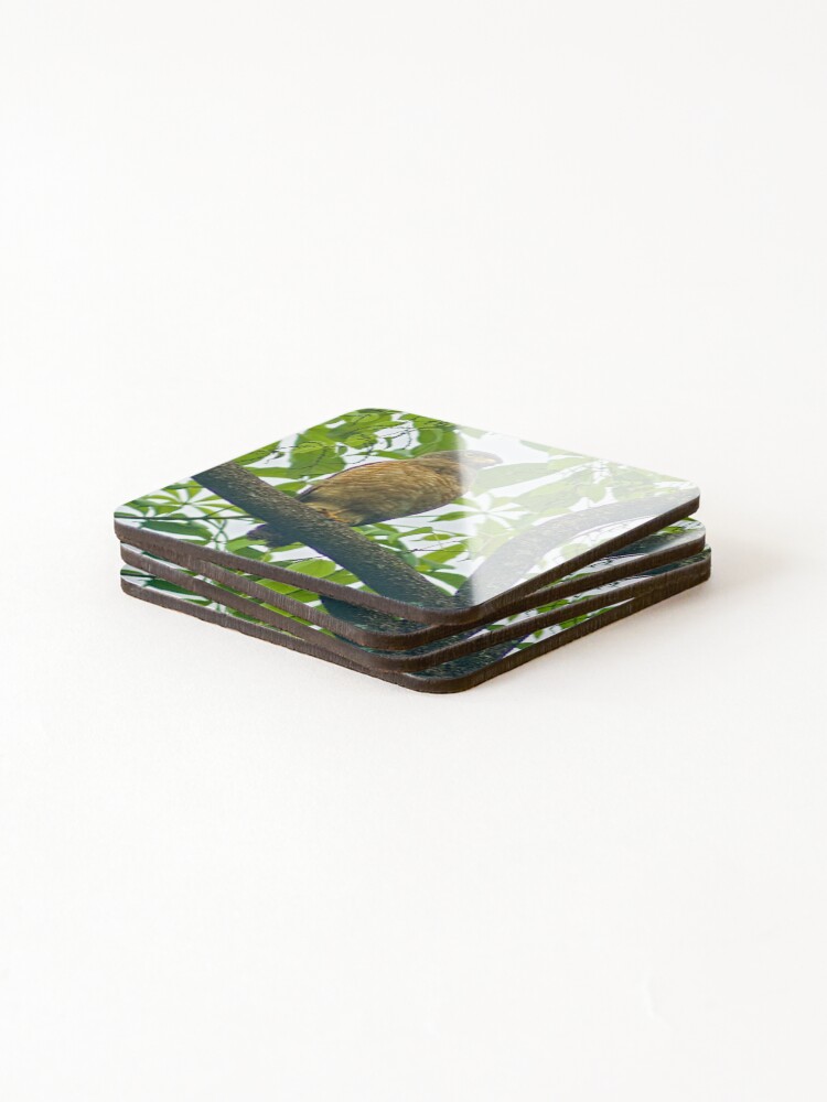 Thumbnail 4 of 5, Coasters (Set of 4), dls eagle designed and sold by pcfyi.