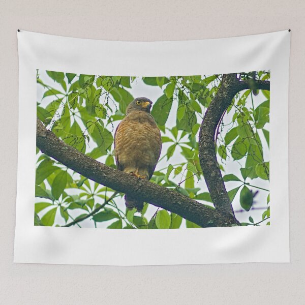 Item preview, dls eagle designed and sold by pcfyi.