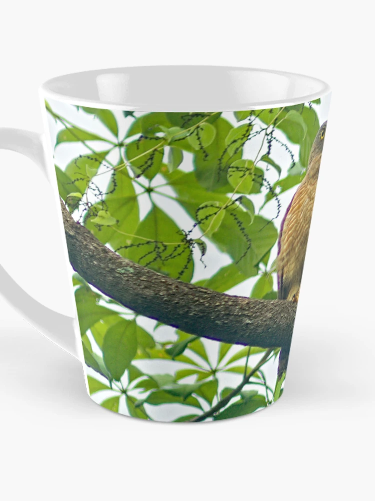 Thumbnail 3 of 4, Coffee Mug, dls eagle designed and sold by pcfyi.