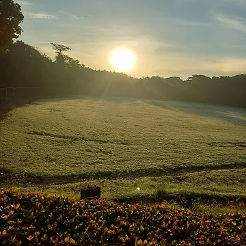 Artwork thumbnail, Sunrise by Rowel Collection