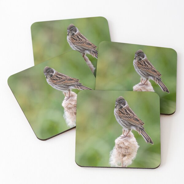 Item preview, Reed Bunting designed and sold by UKMatt2000.