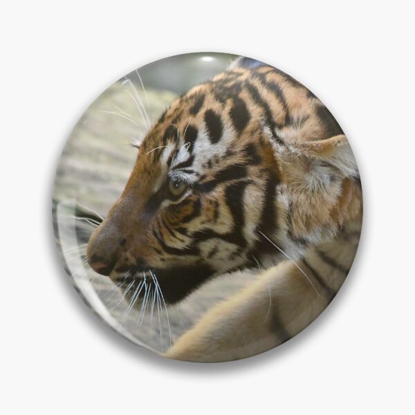 Item preview, Malayan Tiger Cub on the Move designed and sold by richardbryce.