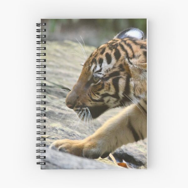 Item preview, Malayan Tiger Cub on the Move designed and sold by richardbryce.