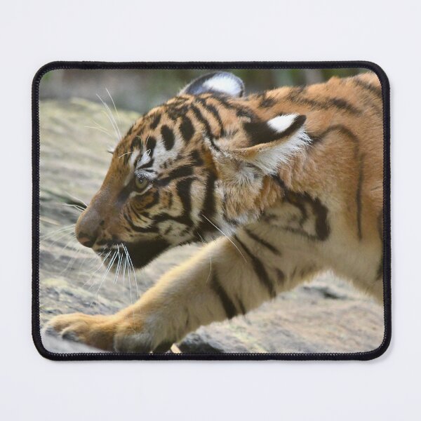 Item preview, Malayan Tiger Cub on the Move designed and sold by richardbryce.