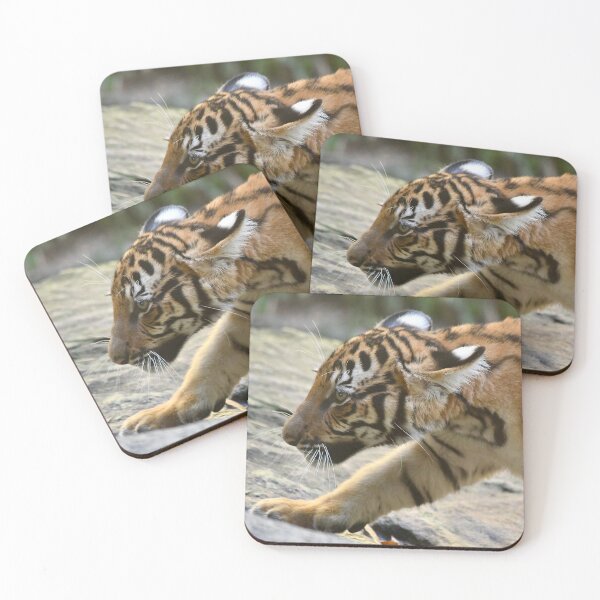 Item preview, Malayan Tiger Cub on the Move designed and sold by richardbryce.
