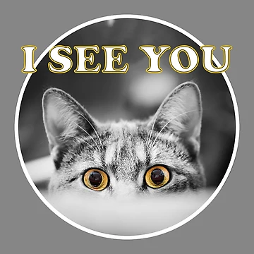 Artwork thumbnail, I see you by Pascal-F