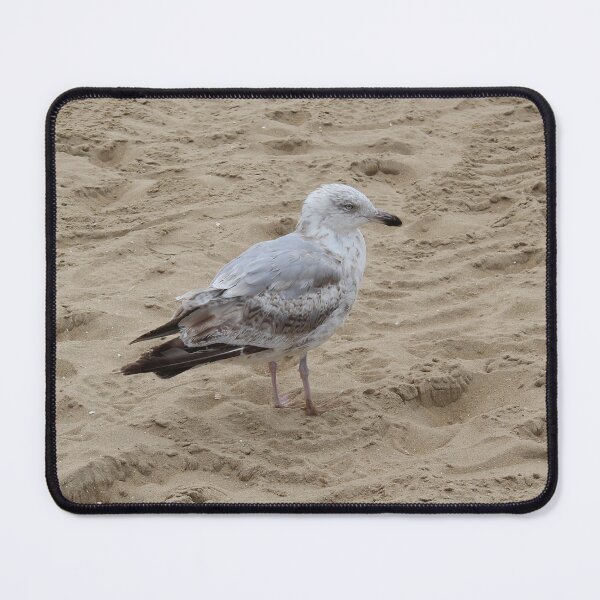 Item preview, Seagull in the sand designed and sold by Marije Kouyzer.