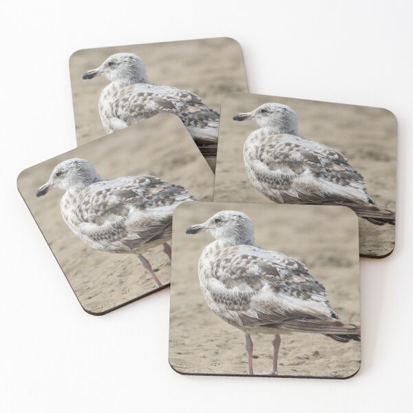 Item preview, Seagull in the sand designed and sold by Marije Kouyzer.