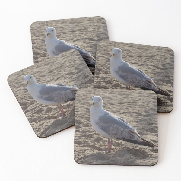 Item preview, Seagull in the sand designed and sold by Marije Kouyzer.