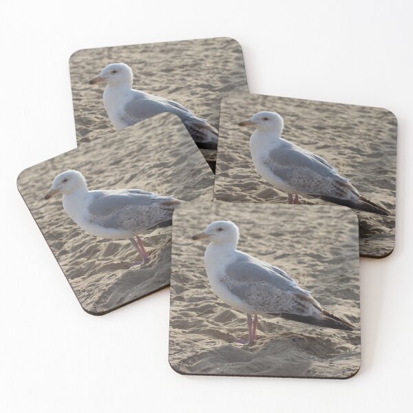 Item preview, Seagull in the sand designed and sold by Marije Kouyzer.