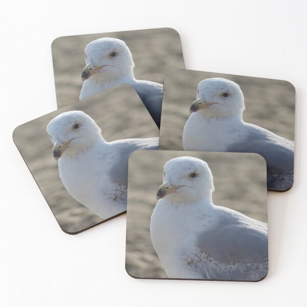 Item preview, Seagull in the sand designed and sold by Marije Kouyzer.
