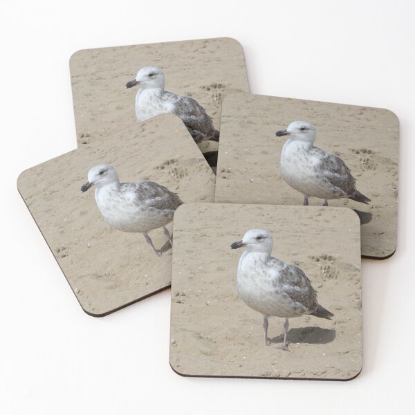 Item preview, Seagull in the sand designed and sold by Marije Kouyzer.
