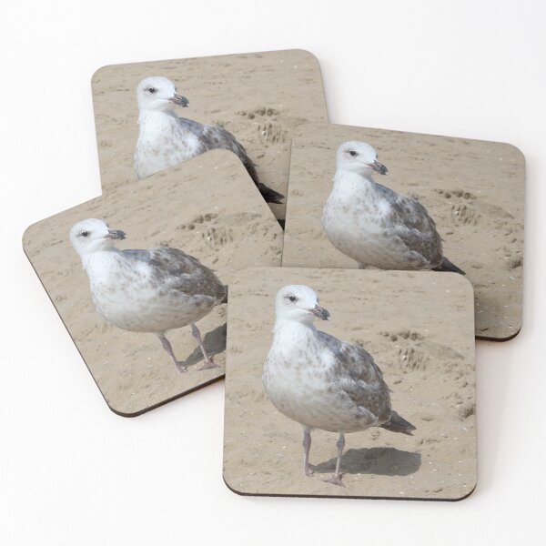 Item preview, Seagull in the sand designed and sold by Marije Kouyzer.