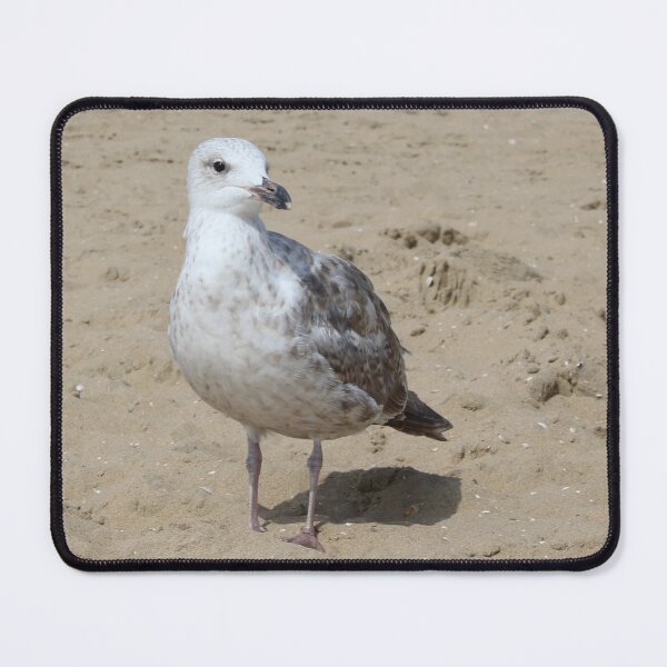 Item preview, Seagull in the sand designed and sold by Marije Kouyzer.