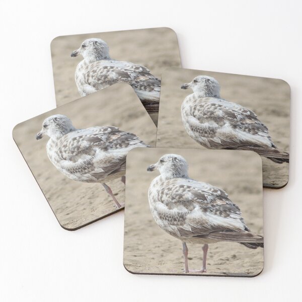 Item preview, Seagull in the sand designed and sold by Marije Kouyzer.