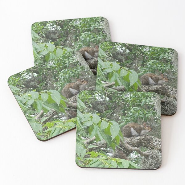 Item preview, Squirrel  designed and sold by Larrysphotos.