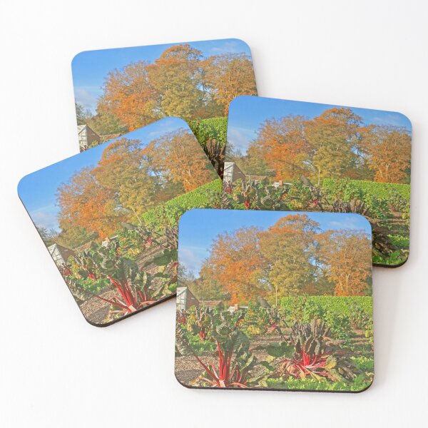 Item preview, Kitchen Garden, November 2024 designed and sold by RedHillDigital.