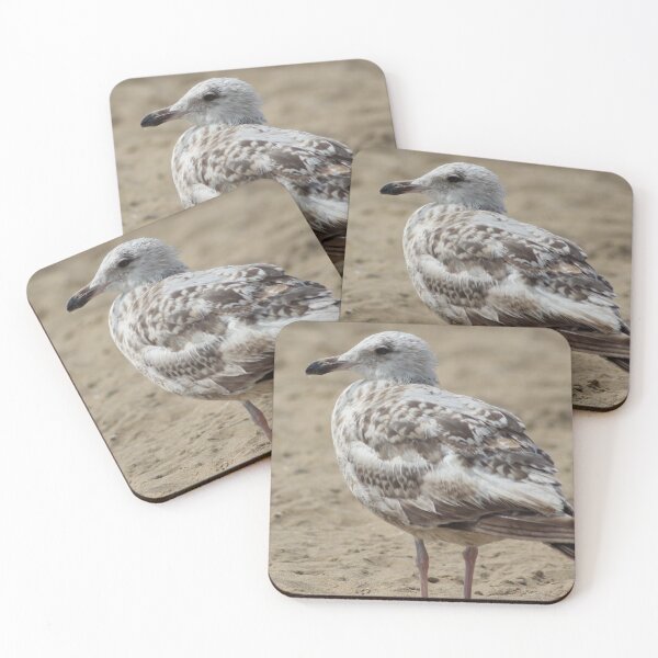 Item preview, Seagull in the sand designed and sold by Marije Kouyzer.