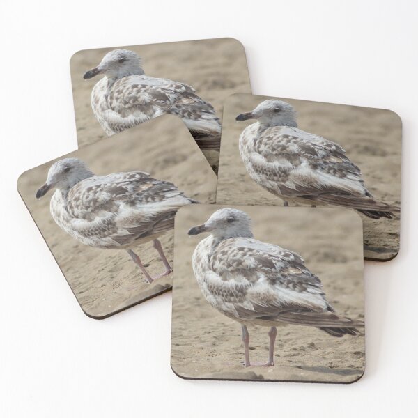 Item preview, Seagull in the sand designed and sold by Marije Kouyzer.