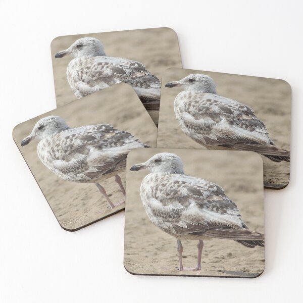 Item preview, Seagull in the sand designed and sold by Marije Kouyzer.