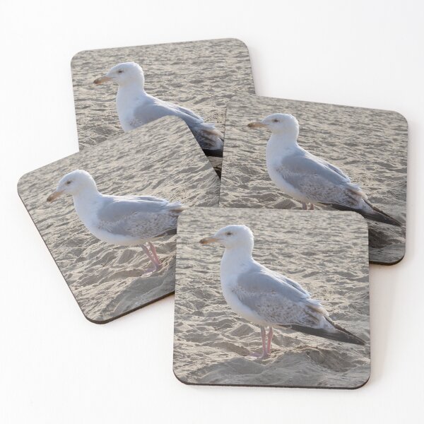 Item preview, Seagull in the sand designed and sold by Marije Kouyzer.
