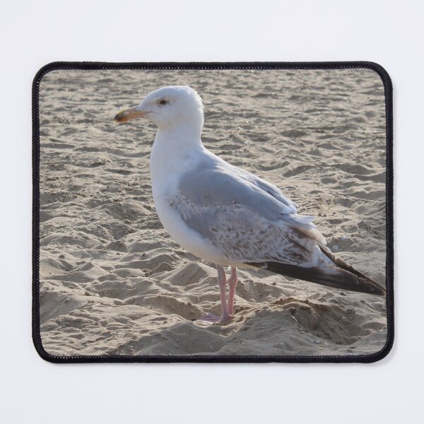 Item preview, Seagull in the sand designed and sold by Marije Kouyzer.