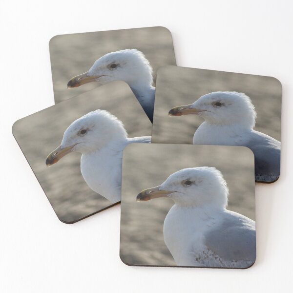 Item preview, Seagull in the sand designed and sold by Marije Kouyzer.