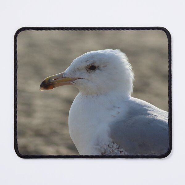 Item preview, Seagull in the sand designed and sold by Marije Kouyzer.