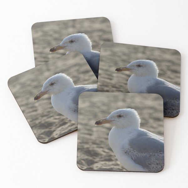 Item preview, Seagull in the sand designed and sold by Marije Kouyzer.