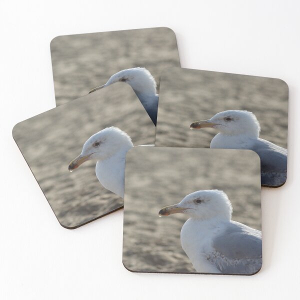 Item preview, Seagull in the sand designed and sold by Marije Kouyzer.