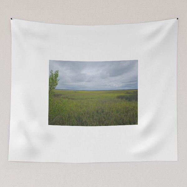 Item preview, Marsh designed and sold by Larrysphotos.
