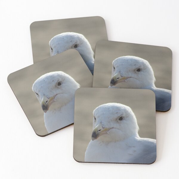 Item preview, Seagull in the sand designed and sold by Marije Kouyzer.