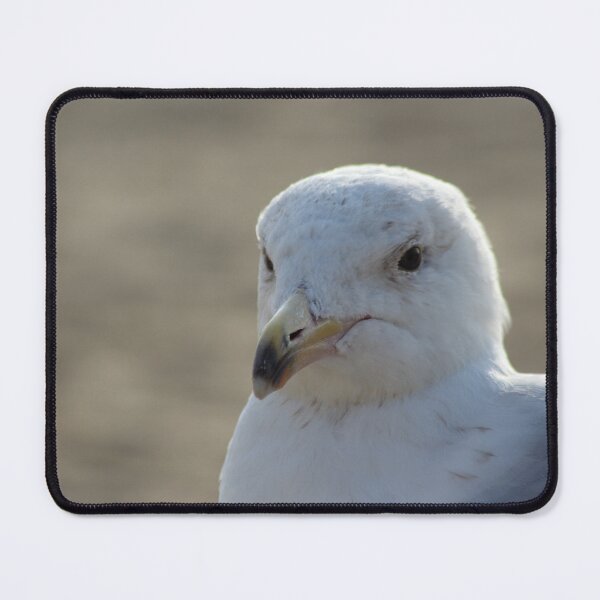 Item preview, Seagull in the sand designed and sold by Marije Kouyzer.