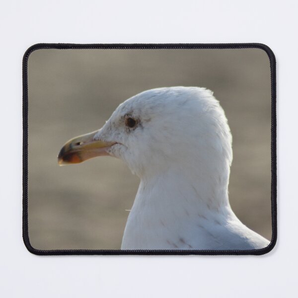 Item preview, Seagull in the sand designed and sold by Marije Kouyzer.