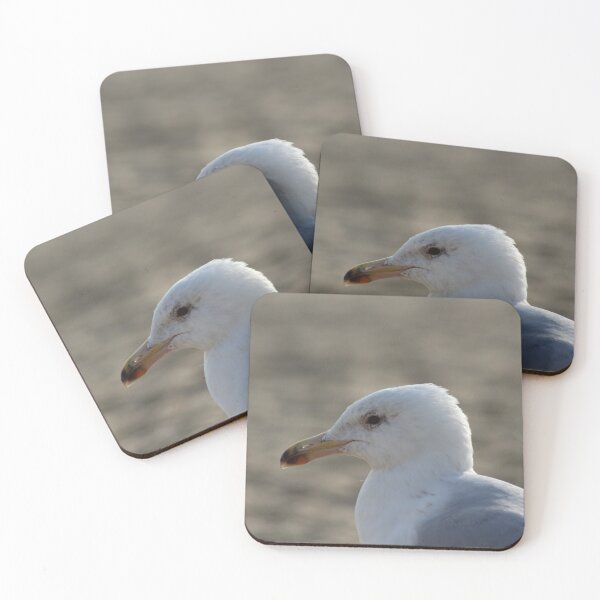 Item preview, Seagull in the sand designed and sold by Marije Kouyzer.