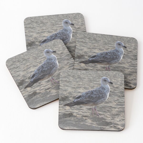 Item preview, Seagull in the sand designed and sold by Marije Kouyzer.