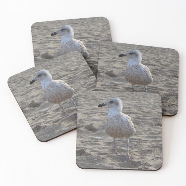 Item preview, Seagull in the sand designed and sold by Marije Kouyzer.