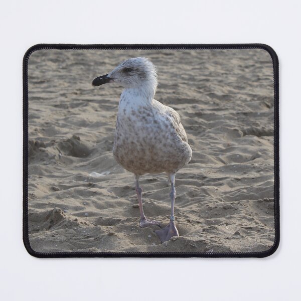 Item preview, Seagull in the sand designed and sold by Marije Kouyzer.