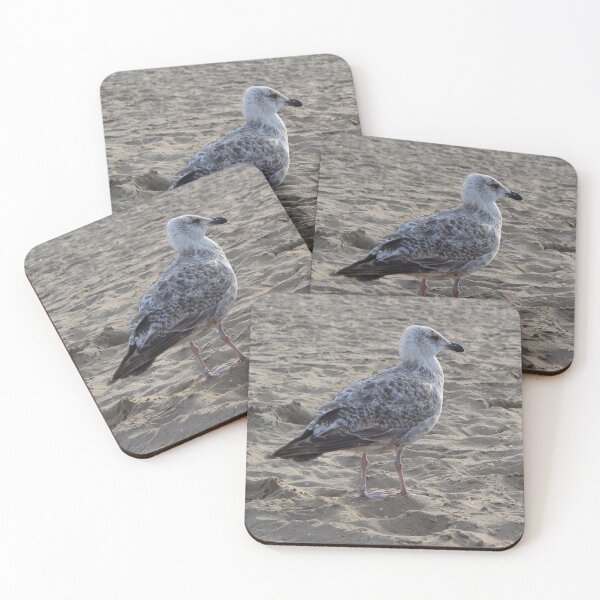 Item preview, Seagull in the sand designed and sold by Marije Kouyzer.