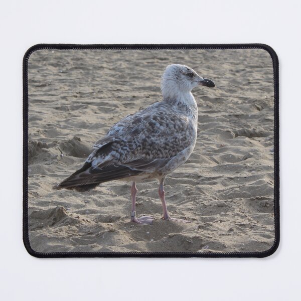 Item preview, Seagull in the sand designed and sold by Marije Kouyzer.