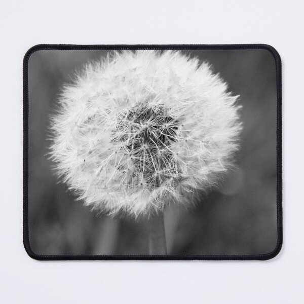 Item preview, Black and White Dandelion Close Up designed and sold by Marije Kouyzer.