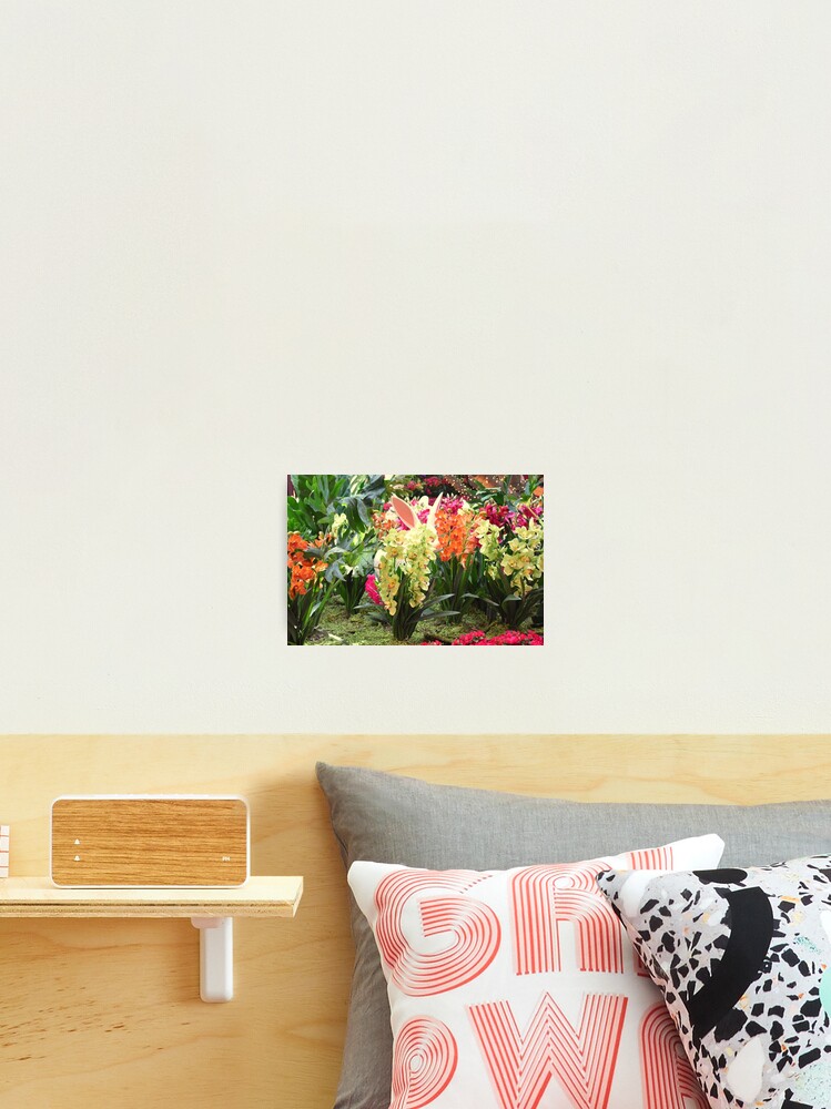 Thumbnail 2 of 3, Photographic Print, Orchid Rabbit 9 designed and sold by MangoSeeds.